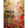 Kép 2/2 - Greenfield Berry Sonata zöldtea 25 filter
