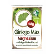 Dr. Chen Ginkgo Max Magnéziummal kapszula 60 db