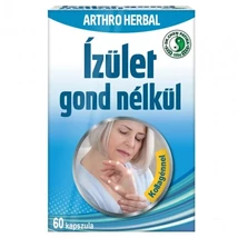Dr. Chen Ízület gond nélkül kapszula 60db