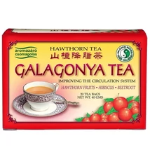 Dr. Chen galagonya tea 20 filter