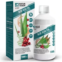 Natur Tanya Aloe Vera tőzegáfonyás ital 1000ml