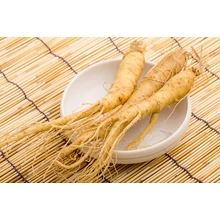 Ginzeng