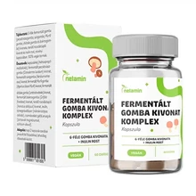 Gyógygombák
