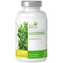 Lucerna