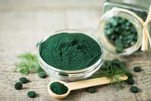 alga, spirulina