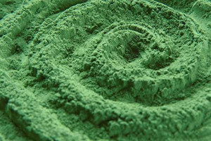 alga, spirulina