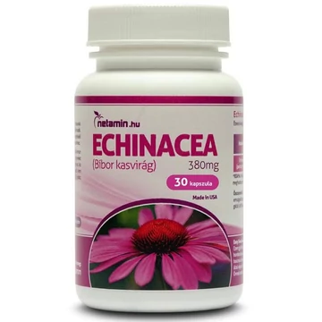 Netamin Echinacea 380mg kapszula 30db